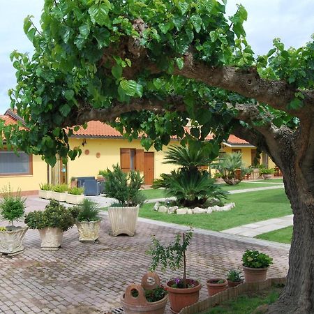 Le Terre Di Bac Bed & Breakfast Borgo Montenero Екстериор снимка