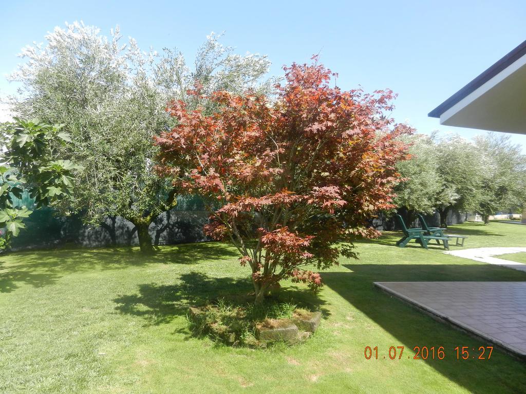 Le Terre Di Bac Bed & Breakfast Borgo Montenero Екстериор снимка