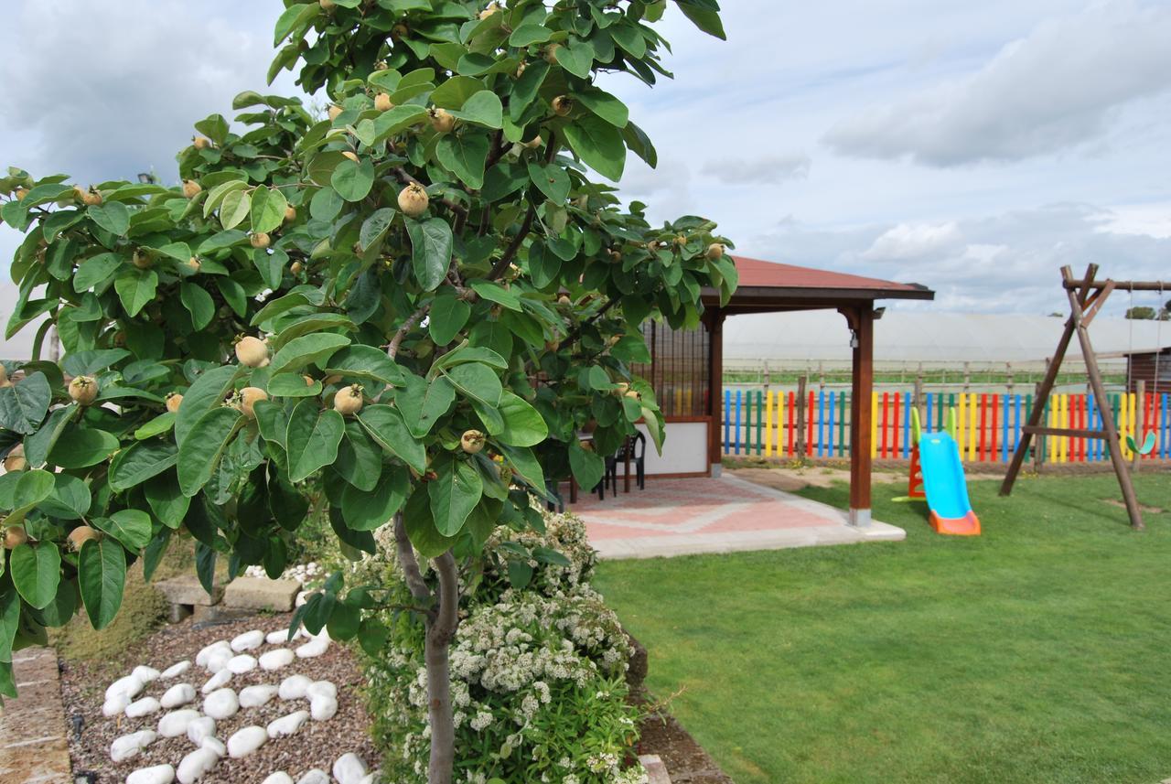 Le Terre Di Bac Bed & Breakfast Borgo Montenero Екстериор снимка